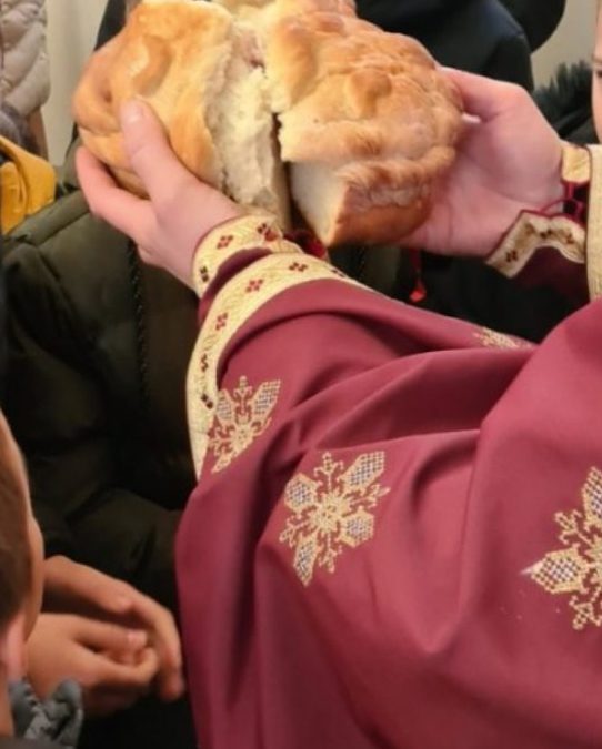 УСКЛИКНИМО С ЉУБАВЉУ СВЕТИТЕЉУ САВИ